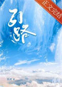 引路星晋江